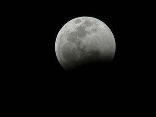 Luna Eclipse