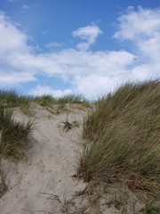 Coastal Sand Dunes