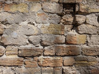 old shellfish brick wall texture