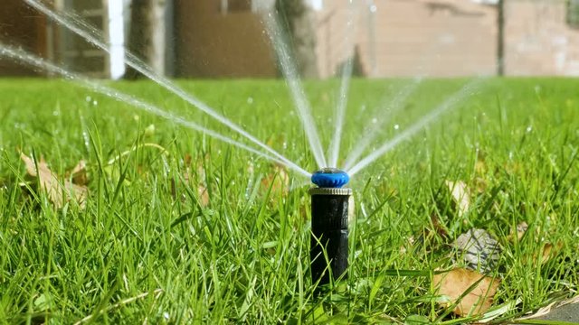 Close-up shot of a nozzle for spraying of water of automatic watering system of a lawn with lush green grass in sunny day. 4K