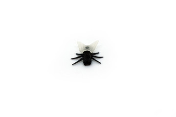 Black plastic fly with transparent white wings with six legs close-up isolated on white background.
