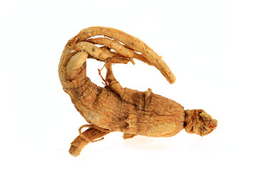 Ginseng on a white background