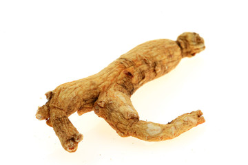 Ginseng on a white background