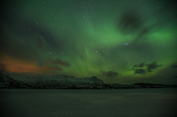 Obraz na płótnie Canvas Northern Lights in Austvagoya in Winter on Lofoten Archipelago in the Arctic Circle in Norway