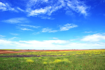 landscape of Alentejo region, south of Portugal at Springtime