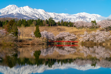 新潟県妙高市松ヶ峯春の絶景とゴルフ場