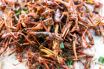 Fried Insect street food of Thailand