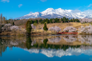 新潟県妙高市松ヶ峯春の絶景とゴルフ場