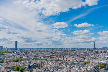 ノートルダム大聖堂からの眺め