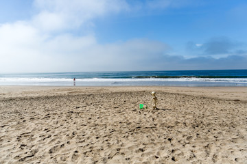 Skeleton sits on the beach playing in the sand with a bucket and shovel