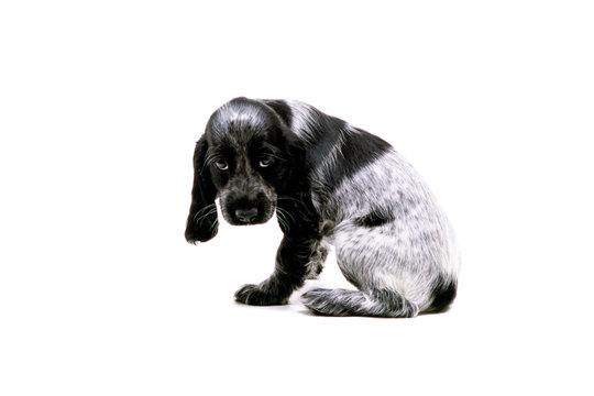 192 件の最適な いじける 画像 ストック写真 ベクター Adobe Stock