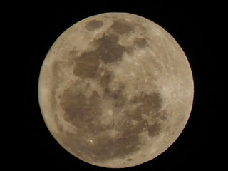 lua