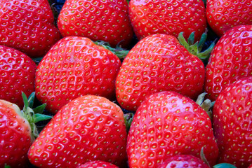 Close up view of dozen of fresh red strawberries. Delicious and juicy tasty fruit. Seen from the side view. Healthy fruit for diet. Beautiful wallpaper and background of fruit concept.