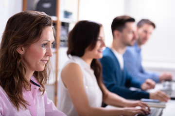 Business People Using Computer