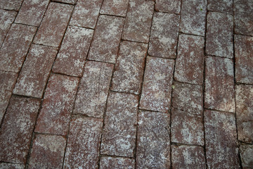 Red brick Garden path