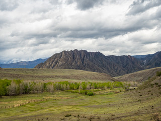 Dramatic clouds in the sky over the steppe and mountain peaks in the Altai, Russia