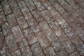 Red brick Garden path