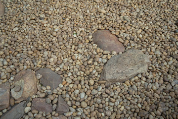Small rock in garden