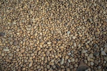 Small rock in garden