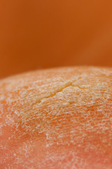 Closeup image of old callus with crack.