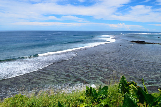 230 Best サモア Images Stock Photos Vectors Adobe Stock