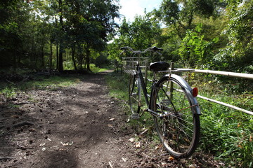 Fototapeta na wymiar 森への道と自転車
