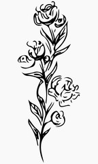 Hand Drawn Vector Illustrations Of Abstract Peony Flower Isolated on Gray. Floral Design Elements For Invitations, Greeting Cards, Posters, Blogs. Hand Drawn Sketch of a Flowers.