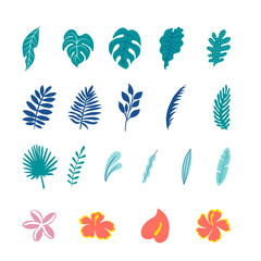 Tropical Botanical Illustrations