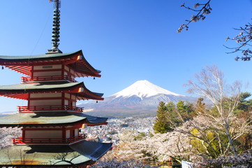 Obraz premium 富士山 五重塔 桜