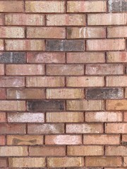 Pared de ladrillos rojos 