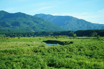 Fototapeta premium 箒川 山 夏