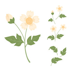 Cute yellow flowers isolated on white background, vector illustration