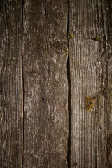 close up view of nice old wooden background in dark 