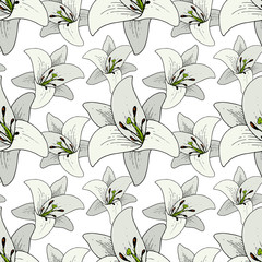 Vector Lily Floral botanical flower. Black and white engraved ink art. Seamless background pattern.