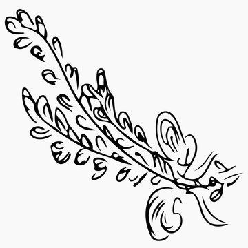 Lavandula angustifolia aka common lavender sketch on gray background. Aromatherapy series. Hand drawn vector illustration. Doodle, line art.
