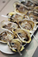 Oyster with sauce