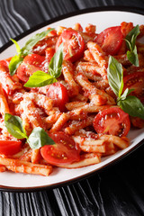 Delicious Italian pasta Casarecce with tomato sauce, parmesan and basil closeup on a plate. Vertical