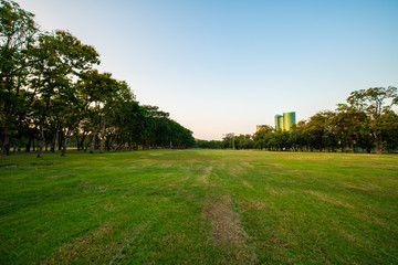 Fototapeta na wymiar Green city public park with meadow nature landscape