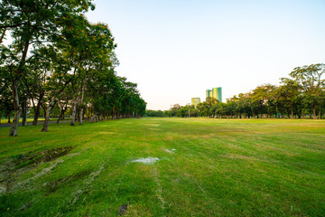Fototapeta na wymiar Green city public park with meadow nature landscape