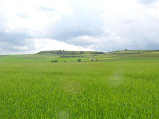 Grüne Landschaft in Süddeutschland