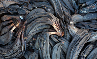 Banana peel rotten, black peel on the trash. Garbage