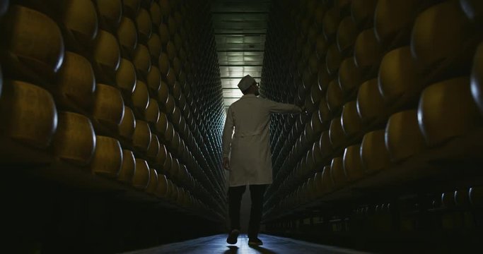 Slow motion of a cheesemaker is controlling the seasoning lots of wheels of parmesan cheese, which was maturing by ancient Italian tradition for many months on shelves of a storehouse.