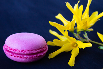 Macaron. Multicolored bright cookies with beautiful yellow flowers.