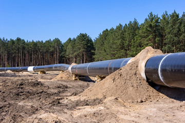 The route of the new natural gas pipeline runs through the state of Brandenburg.