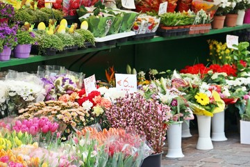 Colorful flowers in buckets of a flower shop in Italian local market, Europe