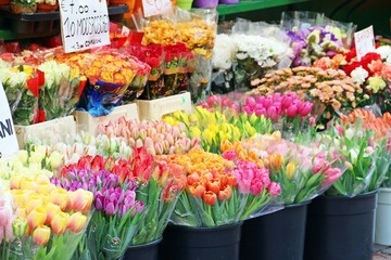 Colorful flowers especially tulips in buckets of a flower shop in Italian local market, Europe