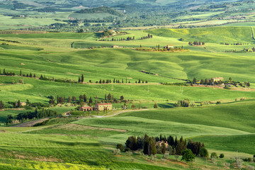 Fototapeta na wymiar Tuscany, rural sunset landscape. Countryside farm, cypresses trees, green field,Italy, Europe.