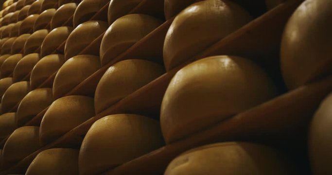 Slow motion slider view of lots of wheels of parmesan cheese are maturing by ancient Italian tradition for many months on shelves of a storehouse.