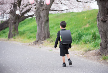 Obraz premium 学校に向かう小学生の男の子