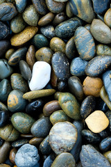 small rock on the beach.